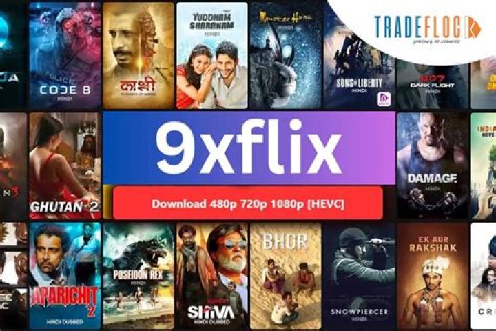 9xflix & Piracy: The Risks & Legal Streaming Alternatives