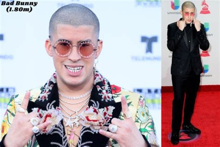 Bad Bunny Altura: Getting the Real Scoop on the Superstar's Height