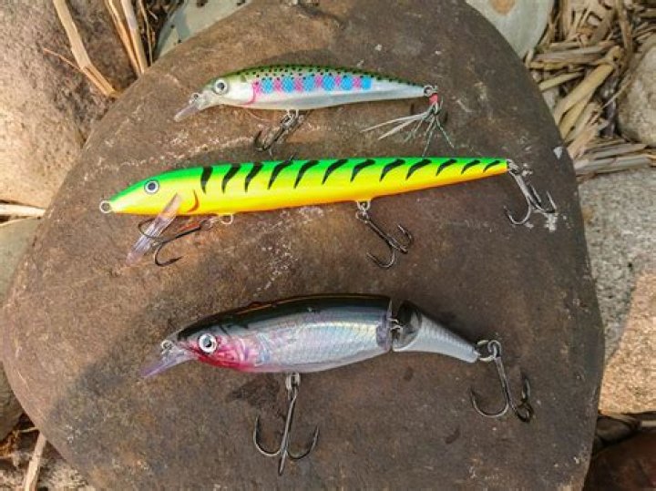 Best Jerkbaits for Trout Fishing