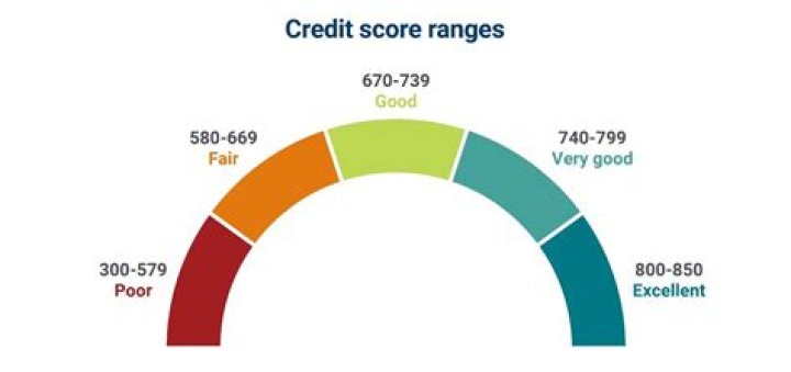 Bolly4u.spa: Is it Legit? Trust Score & What You Need to Know