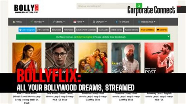 bollyflix.dance: Getting the Best Out of Your Online Bollywood Experience