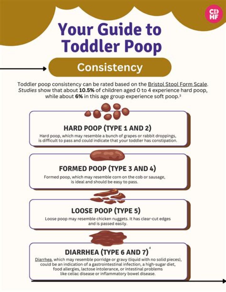 Decoding Your Poop: A Health Guide