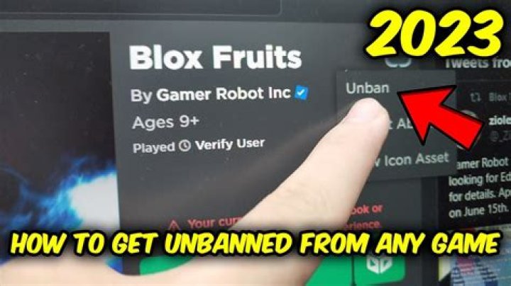 Discover Unbanned G+: Your Go-To for Free Games Anywhere