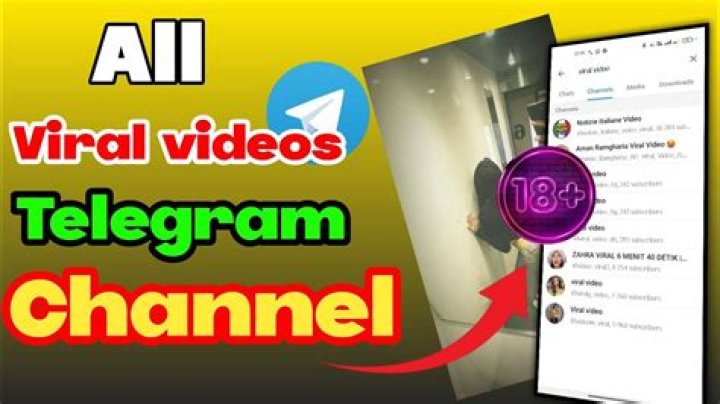 Discovering Camilla Araujo's Online Presence: Exploring Viral Videos and Public Personas