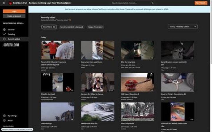 Exploring Gore Sites: What You Need to Know