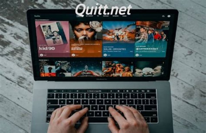 Exploring Quitt Net: What Was It, What It Claimed, and What Users Said