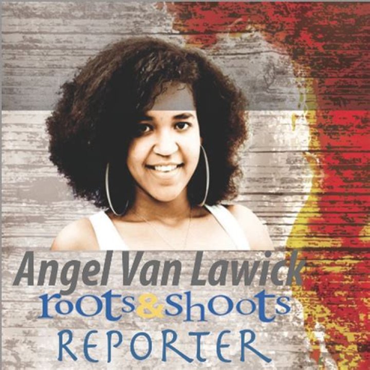 Exploring the Path of Angel van Lawick: A Legacy in Action
