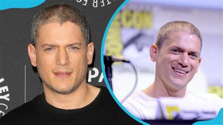 Exploring Wentworth Miller's Public Relationships: Addressing the "Girlfriends" Query