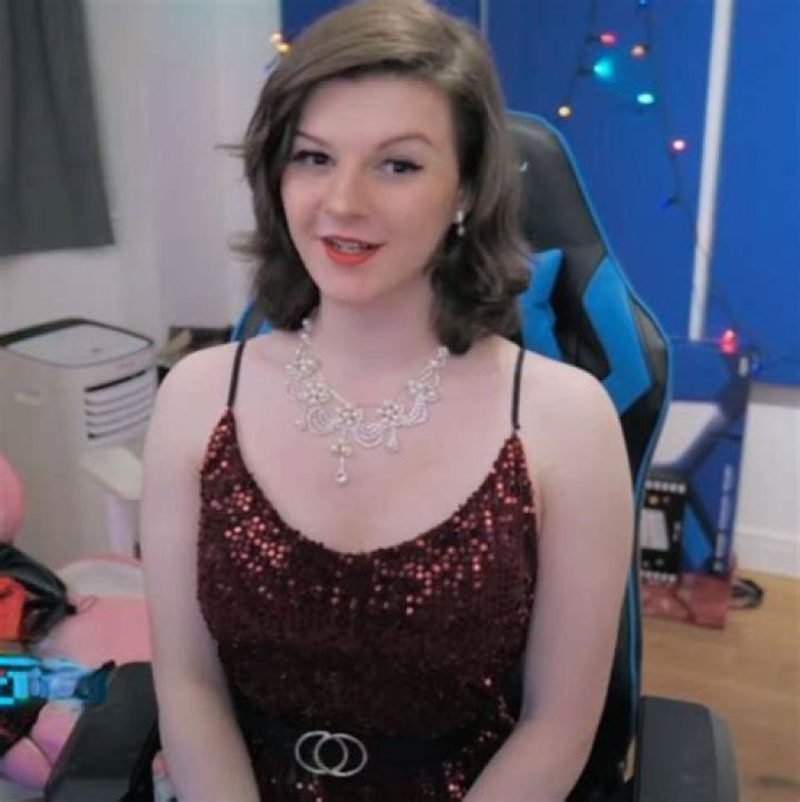 F1nn5ter Porn: Exploring Online Discussions Around a Popular Streamer