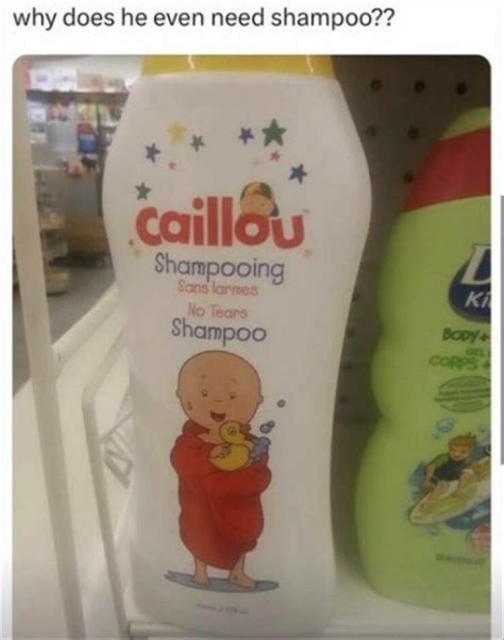 Funny 15 in 1 Shampoo Memes: A Hilarious Compilation