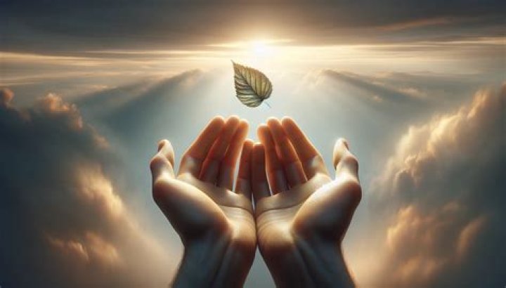 Grace Swards: Exploring the Many Meanings of Grace in Our Lives
