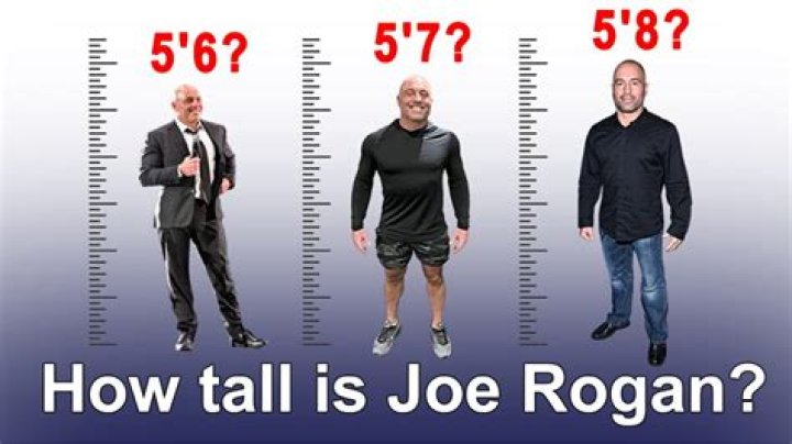 Joe Rogan Height in Feet: What People Are Saying About His Stature