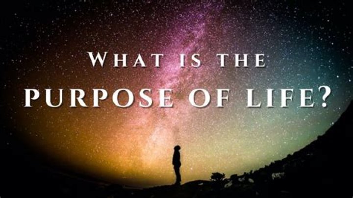 Judith Kent: A Look at a Life of Purpose and Impact