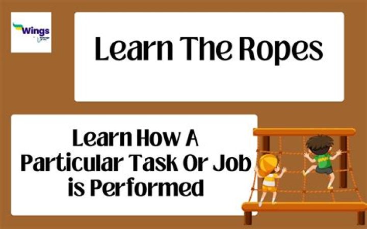 Learning the Ropes: Your Guide to the Erome School of Understanding