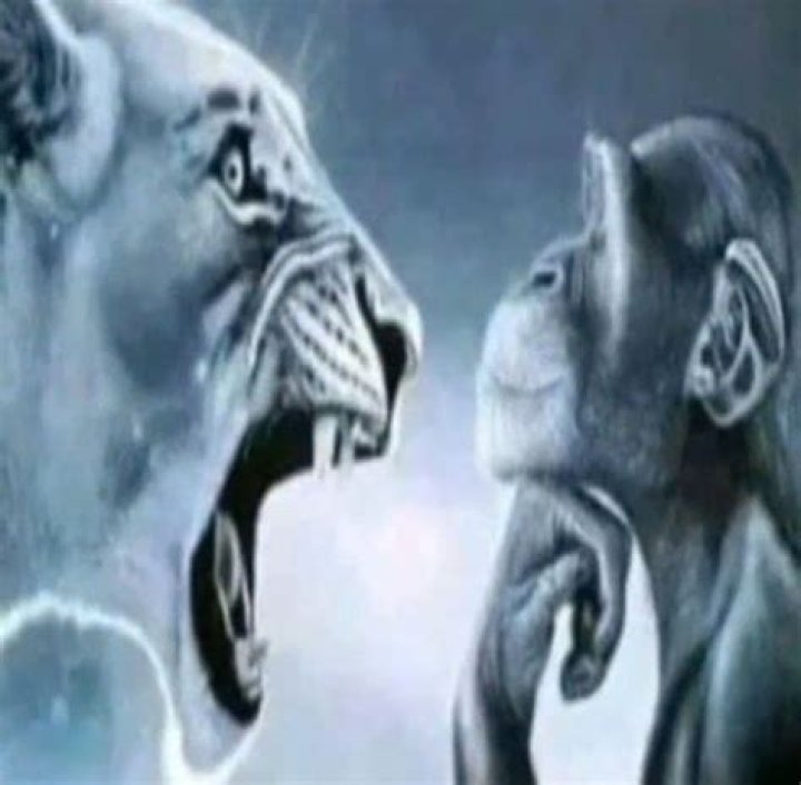 Lion Yelling at a Monkey: What's the Story Behind Nature's Unexpected Drama?