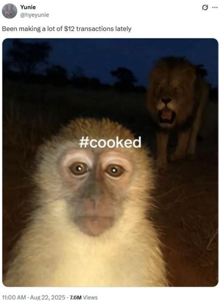 Monkey with Lion Behind Meme: Decoding the Internet's Favorite Roar and Gaze