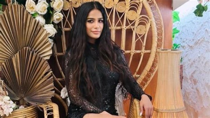 Poonam Pandey Porn: Understanding the Widespread Online Search and Its Implications
