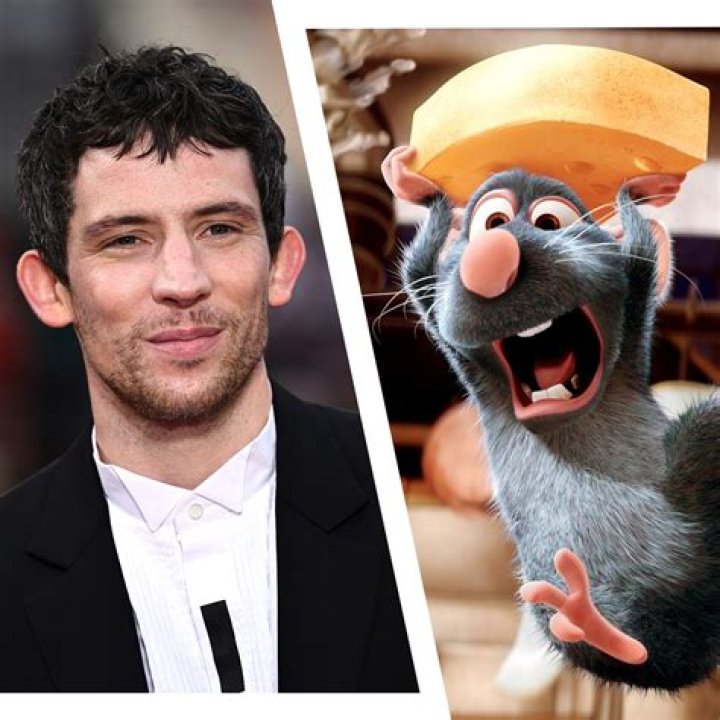 Ratatouille (Film): Cast, Characters & More!