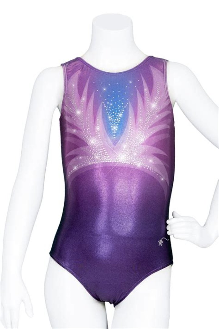 Shop Bling Gymnastics Leotards: Sparkle & Shine