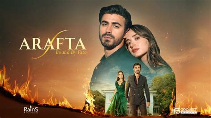 Sotwe and the Quest for Turkish Online Content: Adapting to Digital Changes