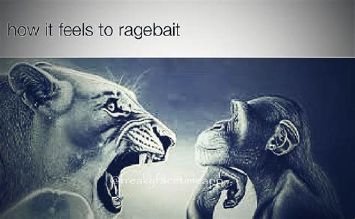 The **Angry Lion Monkey Meme**: A Look at Its Staying Power and What It Says About Feelings