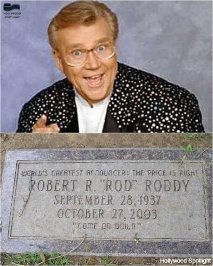 The Enduring Charm of Roddy McDowall: A Hollywood Insider's Story