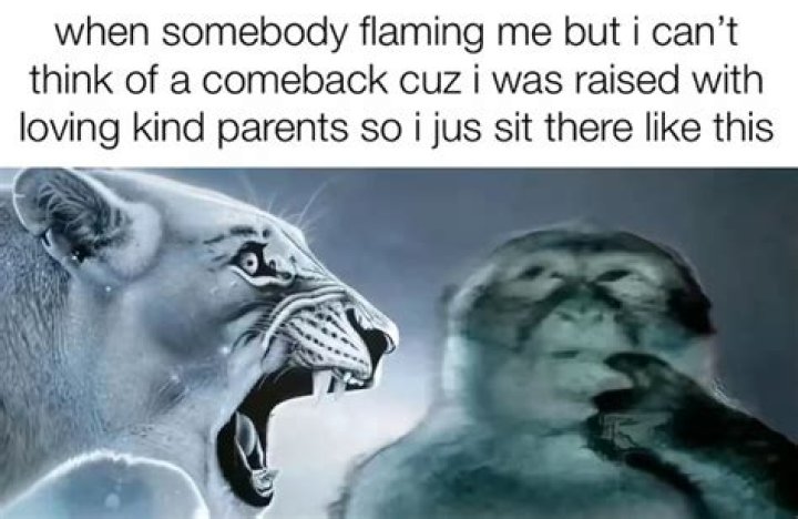 The Roar Heard 'Round the Internet: Why the Lion Yelling at Monkey Meme Still Makes Us Chuckle