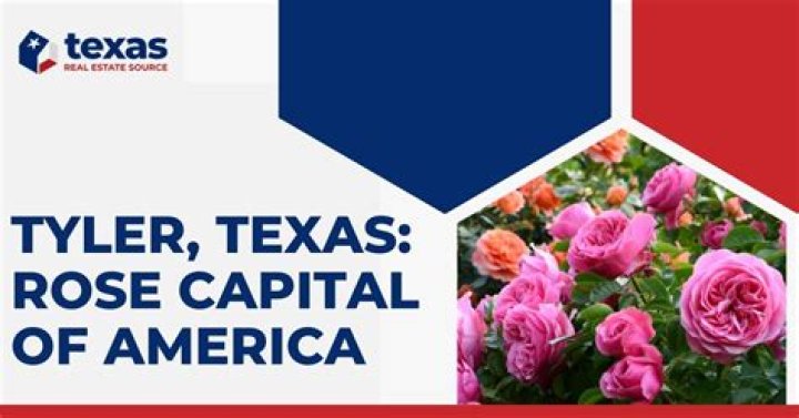 Tyler Johnston: Exploring the Heart of the Rose Capital of America