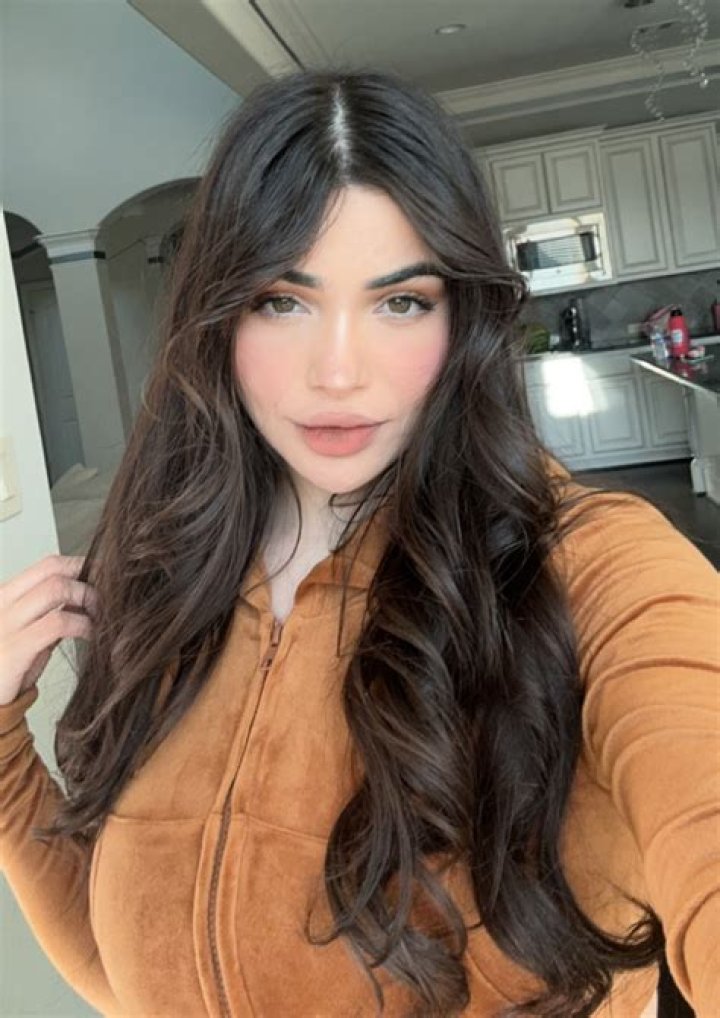 Understanding the Search for Alina Rose Nudes