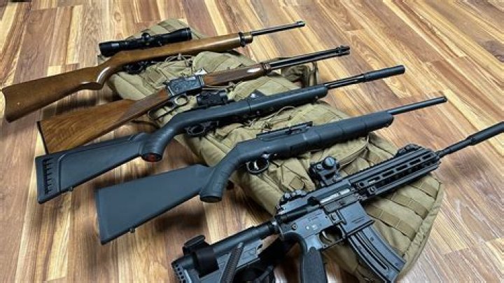 Unpacking masa 49 .com: A Look at French Rifles and Culinary Delights