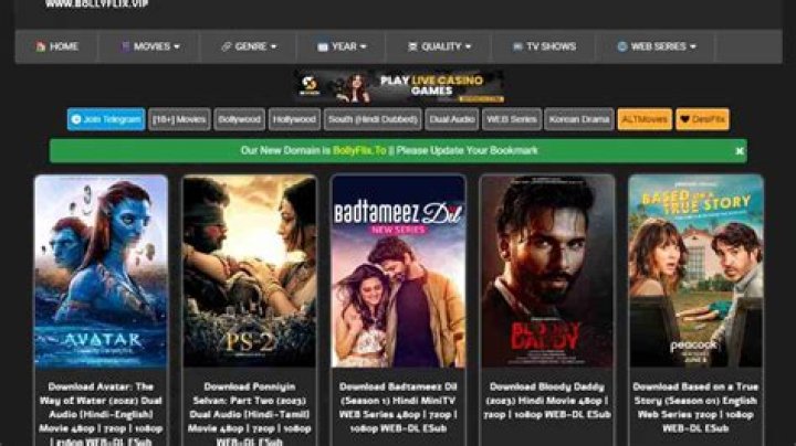 Watch Bollywood Movies Online: BollyFlix Official Site