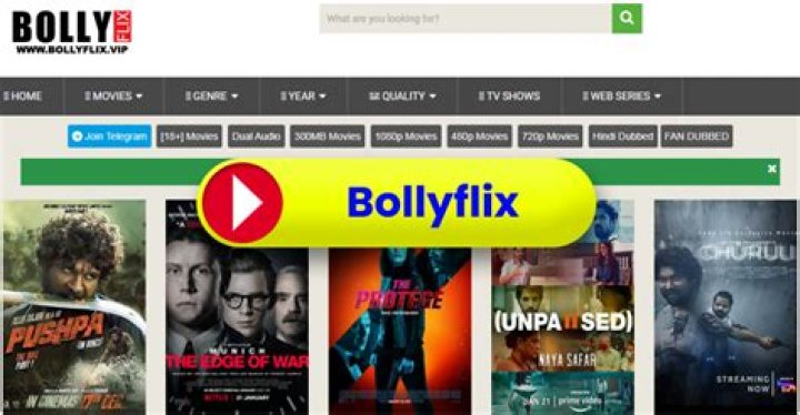 Watch Bollywood Movies Online: BollyFlix Streaming Guide