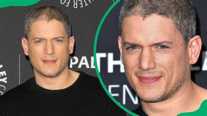 Wentworth Miller Girlfriend: What We Know About His Personal Life