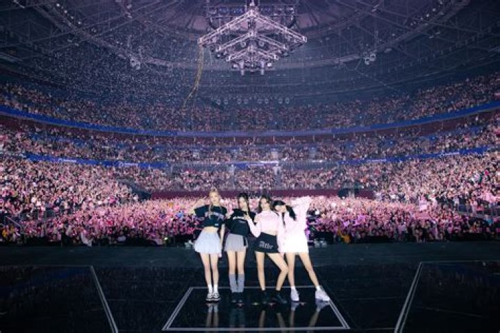 What Does Blackpink Rosé's Sister Do? Unpacking the Curiosity