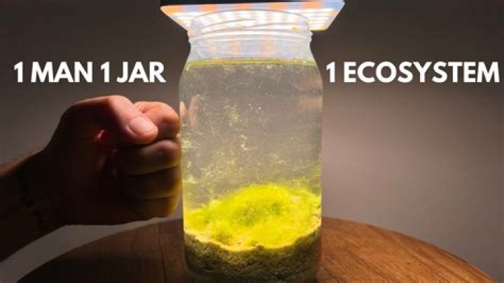 What is One Man One Jar: Finding Focus in a Busy World