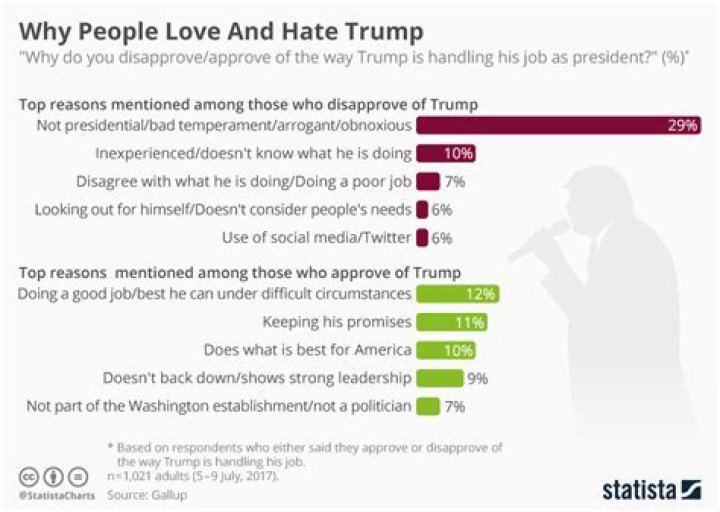 Why I Hate Trump: The Reasons Many People Feel This Way