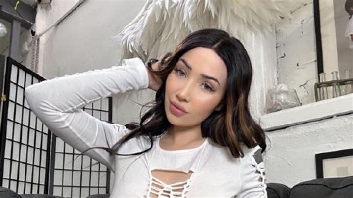 Willow Harper: A Digital Star Captivating Hearts and Minds