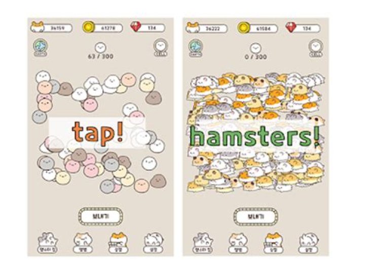 X.hamster