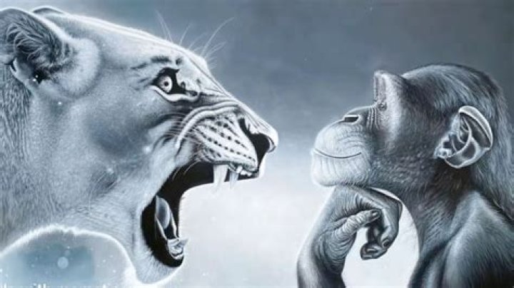 Yelling Lion and Monkey: Unpacking the Power of Loud Voices in Communication